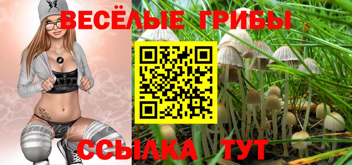 Алапаевск  Псилоцибиновые грибы MAGIC MUSHROOMS  Вход с VPN 